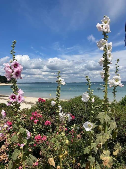 Belles Apartment Quiberon